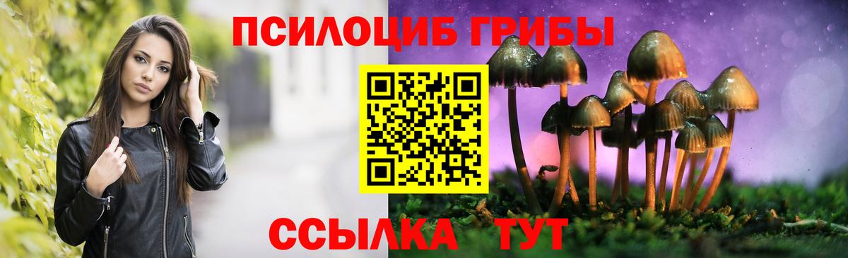Галлюциногенные грибы Magic Shrooms  Вход с VPN  Гатчина 