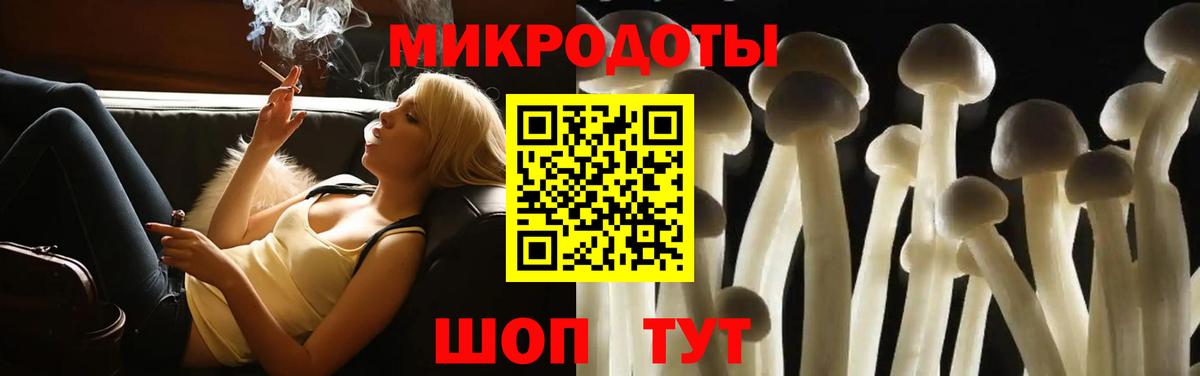 Галлюциногенные грибы прущие грибы Гатчина